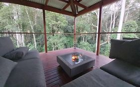 Eucalyptus Escape - Privacy In The Hinterland